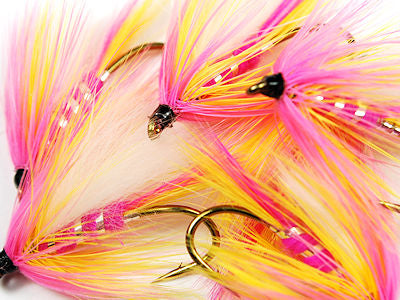 Sea Run Cutthroat