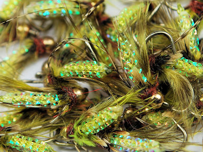 Caddis Larva & Pupa