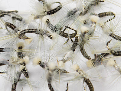 Midges