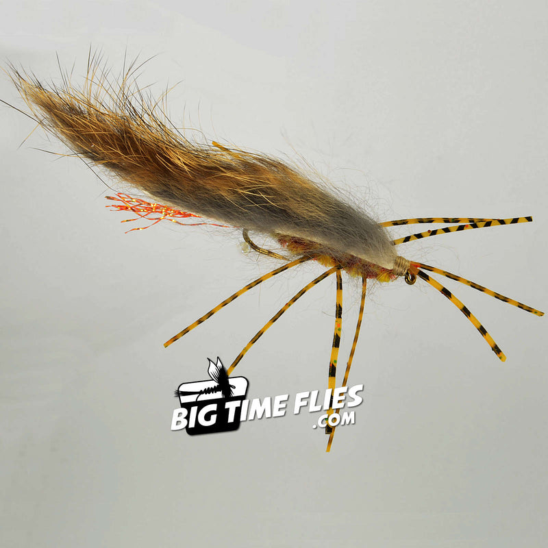 zirdle-bug-natural-2_800x.jpg?