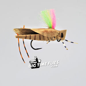 Kurt's Mini Head Turner - Tan - BigTimeFlies