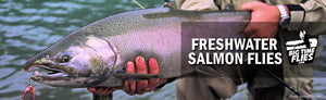 Freshwater Salmon