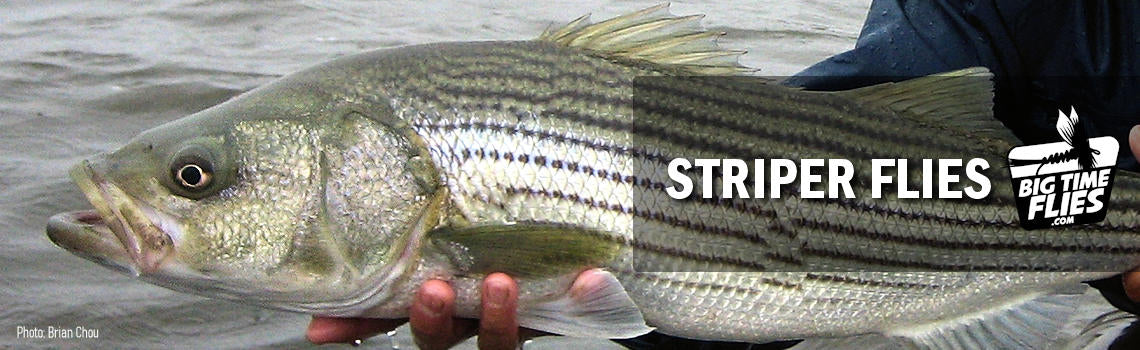 Stripers