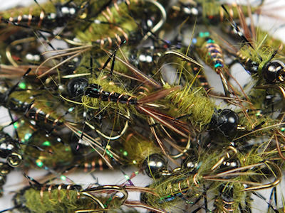 Mayfly Nymphs
