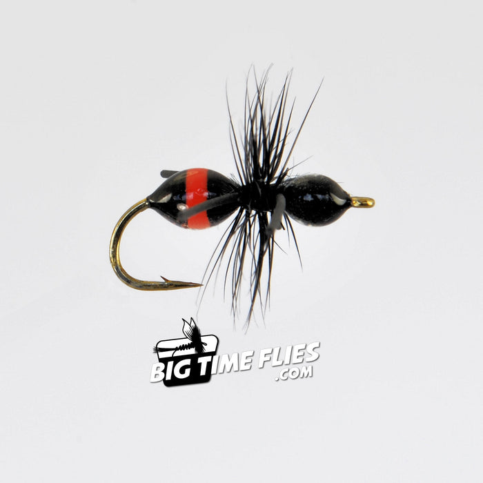 Attract-Ant Black/Red