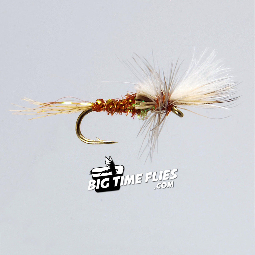 Fly Fishing Dry Trout Flies PEACOCK FEATHER Size 10 Set of 32 Flies with  Fly Box for Trout Fishing – BigaMart