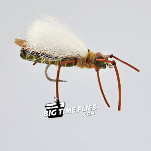 True Skwala - Winged - Skwala Stonefly Dry Fly - Fly Fishing Flies