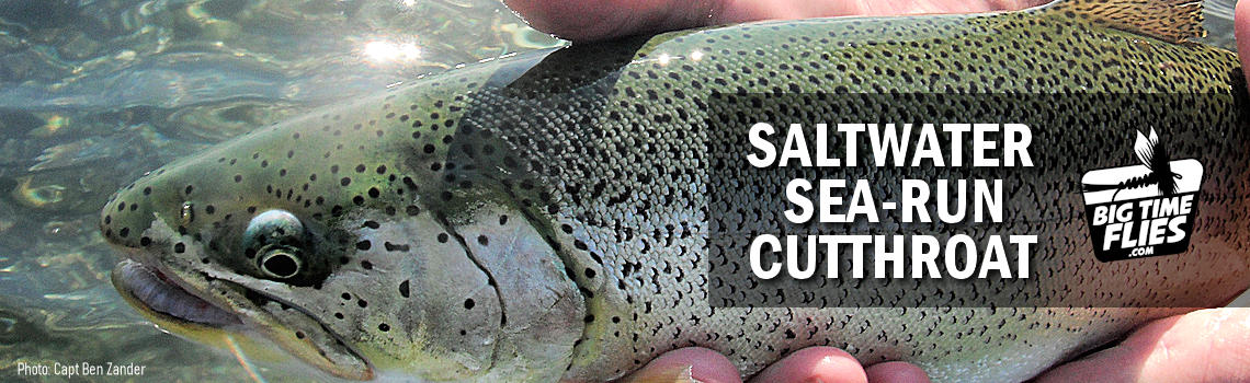 Saltwater Sea-Run Cutthroat