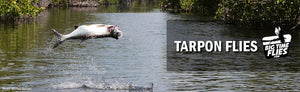 Tarpon