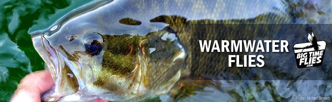 Warmwater Flies