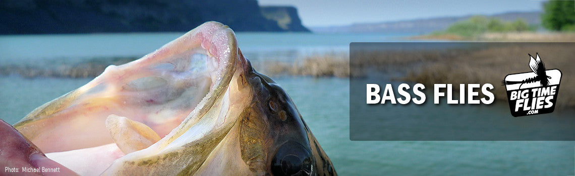 Bass Fly Fishing Flies - Topwater and Subsurface Bass Flies – BigTimeFlies